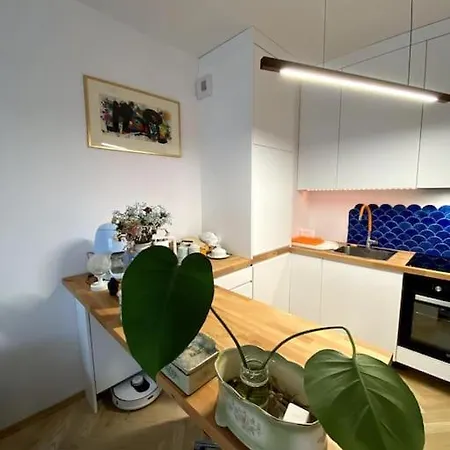 Old Town Praga-smart Home, Garage *